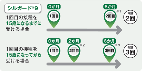 シルガード9を受ける場合の接種スケジュール図